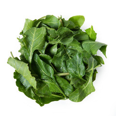 Wild Chard, Swiss chard, Bietola, Beta vulgaris, Segale, isolated on white background