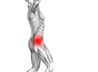 Naklejka na ściany i meble Conceptual hip human anatomy with red hot spot inflammation articular joint pain for leg health care therapy or sport muscle concepts. 3D illustration man arthritis or bone sore osteoporosis disease