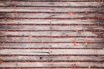 Old wooden planks deck with dry orange red flowers and leaves on it. Minimal background or backdrop with copy space, top view