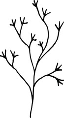 Tiny Leaves Plants Hand drawn vector illustration for logo, invitations, graphic design