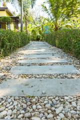 landscape in the garden. The path in the garden.