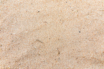 Full frame shot of Sand texture background, natural sand at the beach close up.