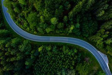 Stra&szlig;e durch Wald