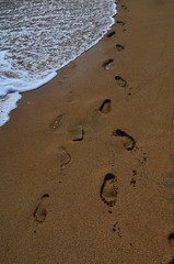Fototapeta na wymiar Ślady stóp na piaszczystej plaży