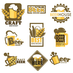 Craft beer isolated icons mug with foam and barley