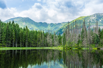 Fototapeta na wymiar The natural surroundings of the pond (Smreczynski Staw) in the Western Tatras.