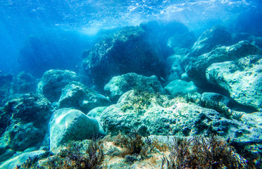 Rock underwater on the seabed in the Mediterranean sea, natural scene. Underwater photography.