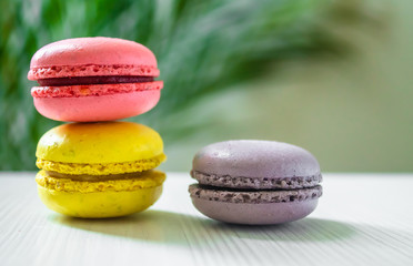 three macaroons cookies on a light background with a palm tree at the back.