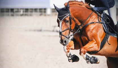 Poster Een mooi paard van de zuring met een ruiter in het zadel springt hoog bij een springconcours op een zonnige dag. ©  Valeri Vatel