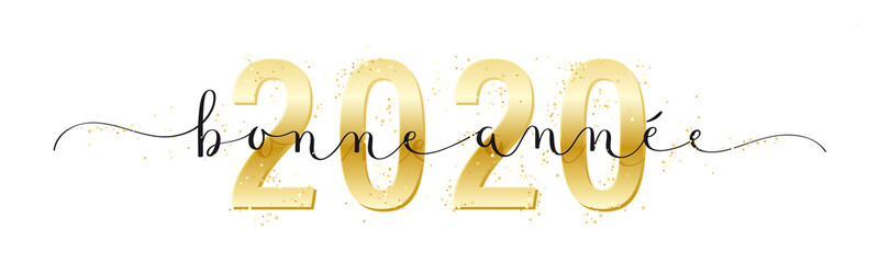 Calligraphie vecteur BONNE ANNEE 2020