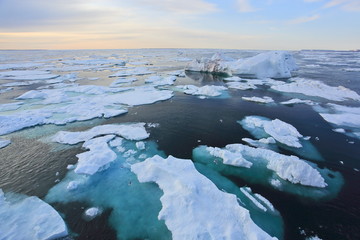 Arctic Ocean in summer time