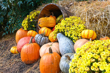 Autumn display of pumpkins and gourds.