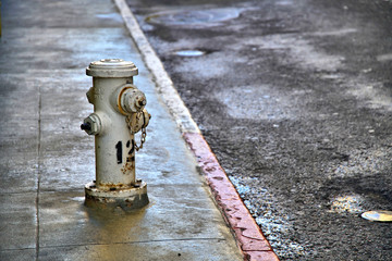 weathered fire hydrant adjacent to the street curb in San Francisco, California