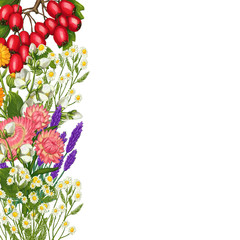 Hand drawn medicinal plant frame. Healing herbs border. isolated on white background