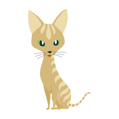 Cute cartoon kittie or cat with colored fur vector illustrations.