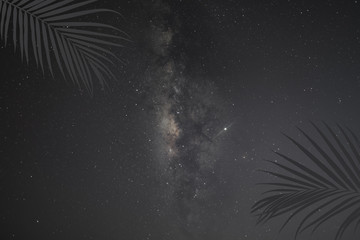 Summer dark tone with Milky way galaxy on night sky with stars and space dust in the universe,...