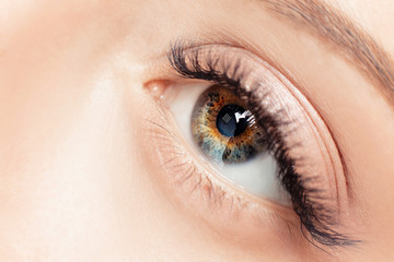 Macro woman eye heterochromia with beautiful brown red shades smokey makeup fashion. Concept eyelashes extensions procedure