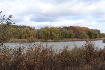 autumn landscape with river and trees