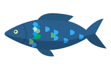 Dark blue fish isolated on white background. Head with small eye, big body with colorful scales, fins and tail. Animal that live in water, fishery sport trophy. Vector in flat style for t-shirt print
