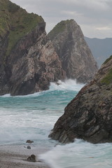 東洋のガラパゴス奄美大島