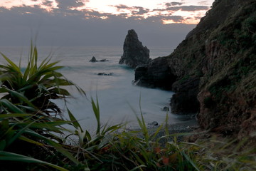 東洋のガラパゴス奄美大島