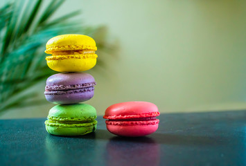 four macaroons cookies on a dark background with a palm tree at the back. Copy space.