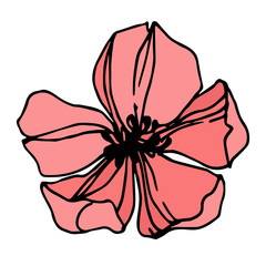 Vector strawberry flower. Black and white engraved ink art. Isolated strawberry illustration element.