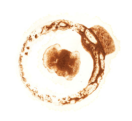 Stains from a glass with coffee on a white background