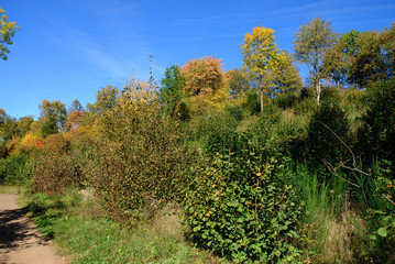 Daun – Dauner Maare – Eifelmaare