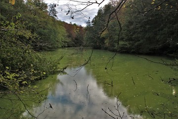 L'automne autour de l'eau.