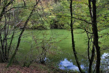 L'automne autour de l'eau.