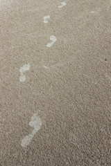 Footprints on the beach. Sand texture, top view, place for an inscription