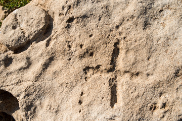 Strange shapes in the rock