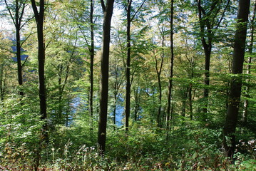 Daun – Dauner Maare – Eifelmaare