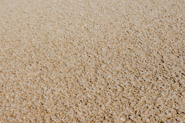 Sand texture, top view, place for an inscription
