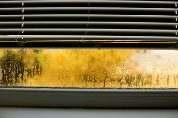 Window drip due to bad ventilation inside house. Condensation on glass during cold weather. High humidity is cause of mold (mildew, mould) on house or building surfaces. Water drop tracks on windows.