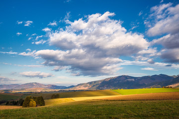 Piedmont landscape with meadows in the morning light at autumn, the area of Liptov with The Western Tatras mountains, Slovakia, Europe.