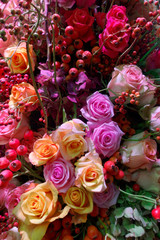 Rosen im Herbst 