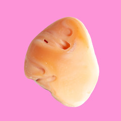 Sea stone from shell isolated on pink background