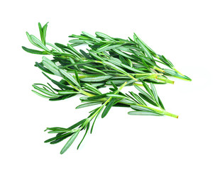 fresh rosemary isolated on white background