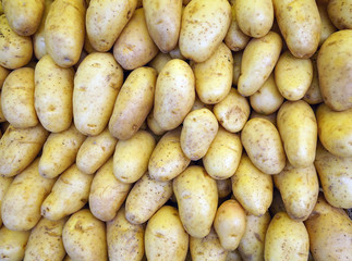 Fresh white potato
