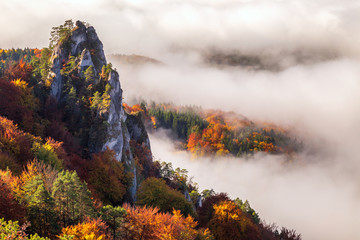 Brightly colored forests of mountain valley in the morning mist at autumn. Morning inversion in the Sulov rock mountains, Slovakia Europe.