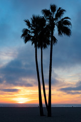 Fototapeta na wymiar Venice Beach Sunset in Los Angeles USA