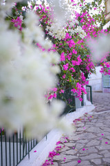 Beautiful streets and cafes of Greece