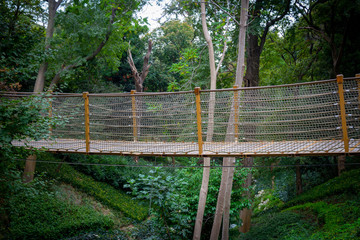 Rope bridge hanging among the trees, in the forest. Side view from outside 