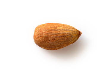 Fototapeta na wymiar single peeled young almond on a white background, isolate, nut antioxidant