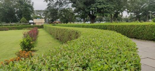 garden in spring