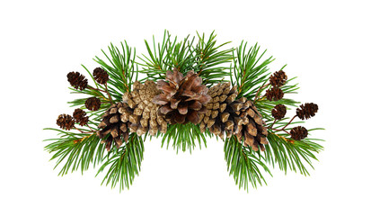 Christmas arrangement with pine twigs and cones
