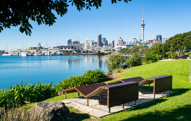 Wooden Benches in Waterfront Park (near harbour), with a Stunning View of Downtown Auckland- Auckland, New Zealand  - obrazy, fototapety, plakaty