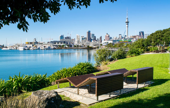 Wooden Benches in Waterfront Park (near harbour), with a Stunning View of Downtown Auckland- Auckland, New Zealand 